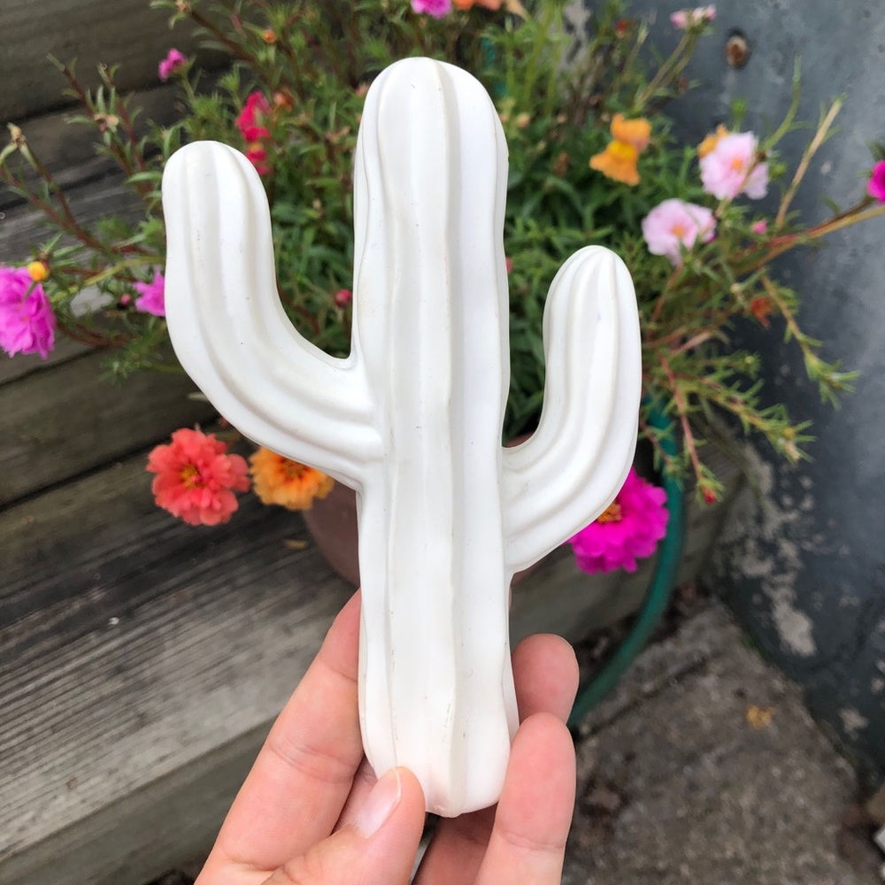 Cactus Wall Decor